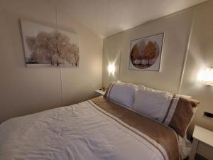 a bedroom with a bed and two pictures on the wall at Idyllic Lakeview Lodge in Chichester