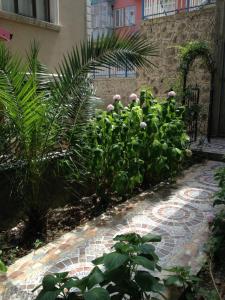 un jardín con flores rosas y plantas en una acera en BEŞ YILDIZ APART en Trebisonda