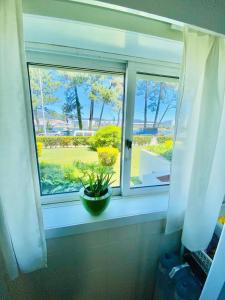 a window in a bathroom with a plant on a window sill at Cabedelo BEACH LOFT, quartos em apartamento compartilhado a 5 minutos da praia in Darque