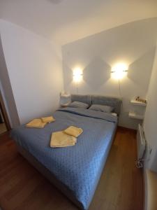 Kama o mga kama sa kuwarto sa Apartman 17 Divcibare