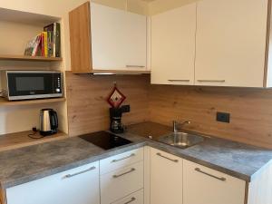 Kuchyň nebo kuchyňský kout v ubytování Neuhäusl-Hof + 5 fotografií