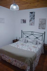 1 dormitorio con 1 cama en una habitación en Apartamentos loli, en Berga