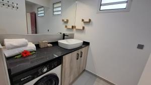 ein Badezimmer mit einem Waschbecken und einer Waschmaschine in der Unterkunft Résidence Paradis in Petit-Bourg