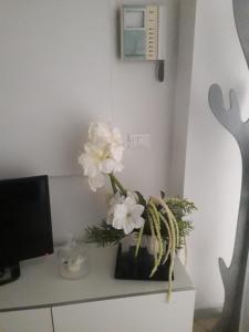 Galeriebild der Unterkunft Il piccolo Sole in Marina di Carrara