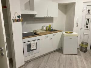 Kuchyňa alebo kuchynka v ubytovaní Roland Apartment Downtown - CORVIN