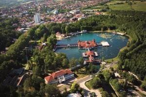 an aerial view of a lake in a town at RÉKA háziállatbarát nyaraló in Keszthely