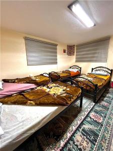 three bunk beds in a room with a rug at Petra Heritage House in Wadi Musa