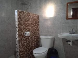 y baño con aseo y lavamanos. en Eco-hotel shalom, en Valladolid