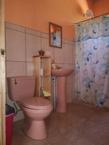 bagno con servizi igienici rosa e lavandino di Casa del Eucalipto a Sabana Redonda