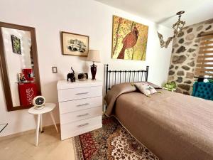 - une chambre avec un lit, une commode et un miroir dans l'établissement Small pet friendly, Pool and Gym Apartment, à San Miguel de Allende