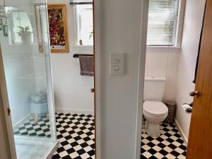 a bathroom with a toilet and a glass shower at Koru Havenz in Picton