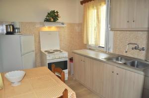 阿齊歐斯·貢多斯的住宿－Beachfront Vacation Home Eftichia，厨房配有水槽、炉灶和桌子