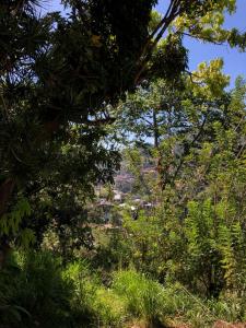Paesaggio naturale nelle vicinanze dell'affittacamere