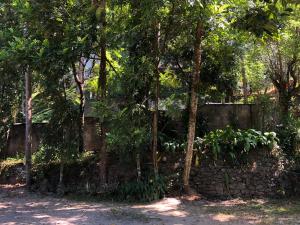 Giardino di Drop Hostel