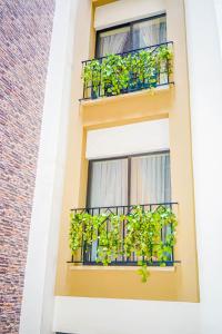 uma janela com vasos de plantas sobre ele em After 40 Hotel em Nairobi