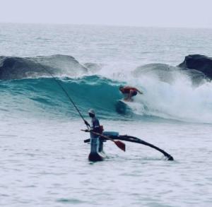 Ospiti di Secret Swell