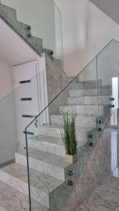a stone staircase with a potted plant at Sarkcsillag teljes családiház- Star Complete Family House in Szeged