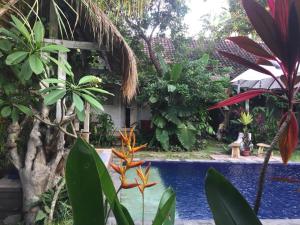 a garden with a swimming pool and some plants at Pranajaya Villa in Tejakula