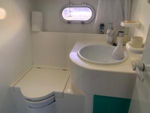 a white bathroom with a toilet and a sink at Jade Flyer in Saltash
