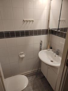 a bathroom with a toilet and a sink at Spacious super located Lahti apartment in Lahti