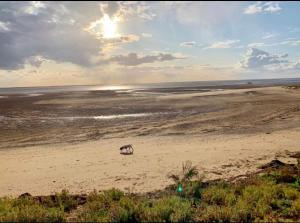 an animal walking on the sand on a beach at A unique, off-grid Eco Friendly Beach House. in Wolferton