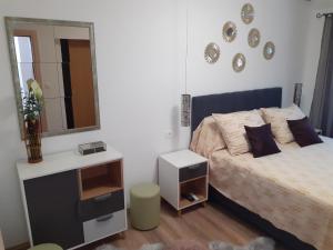 a bedroom with a bed and a mirror on the wall at Holiday Home "JADRANKA" in Buzet