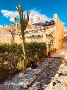 un cactus dans un jardin en face d'un bâtiment dans l'établissement Vera Ciao Luz, à Vera