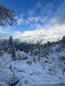 GLAMPING CLUB durante l'inverno