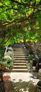 un escalier avec des plantes, des tables et des chaises dans l'établissement L'Aristoloche, à Salins-les-Bains