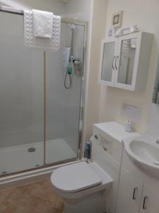 a bathroom with a shower and a toilet and a sink at Coastal Garden Lodge in Preesall