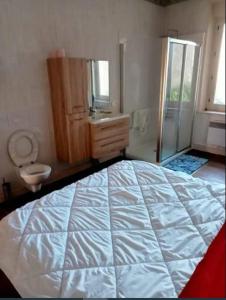 1 dormitorio con 1 cama grande y baño en Chambre tout équipée, en Lacroix-sur-Meuse