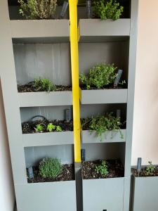 a shelf with plants in it with a yellow pole at luxury apartment in Pesaro
