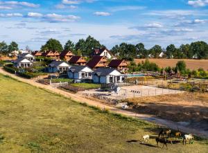 un grupo de casas y caballos en un campo en Przystań Łagówek - domki letniskowe en Łagów