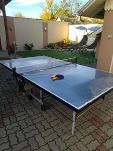 Stolní tenis v ubytování Elza Apartman nebo okolí
