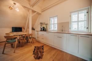 Kuchyň nebo kuchyňský kout v ubytování Apartman s výhledem