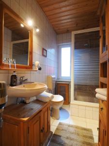 La salle de bains est pourvue d'un lavabo et de toilettes. dans l'établissement Bauernstube Morgenitz, à Morgenitz