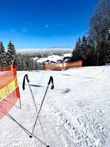 a pair of ski poles and an orange net in the snow at Hotel Zdobnice in Rychnov nad Kněžnou