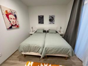 een slaapkamer met een groot bed in een kamer bij Precioso apartamento con patio. PYP in Valencia