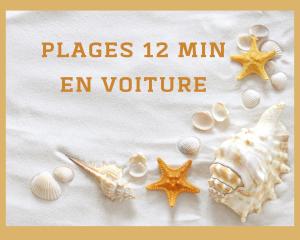 Fotografia z galérie ubytovania T2 Prestance Montpellier Proche Plage Parking v destinácii Montpellier