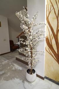 Fotografie z fotogalerie ubytování Hotel Virgen de los Reyes v destinaci Ronda