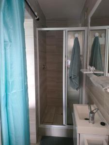 a bathroom with a shower and a sink at Cove Rock Stay in East London