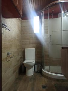a bathroom with a toilet and a glass shower at ForestRock Studio FOR SALE TOO in Sparti
