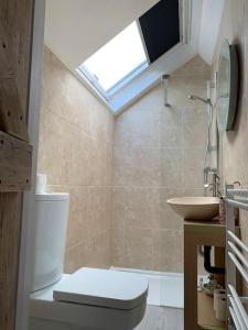 uma casa de banho com um WC, um lavatório e uma clarabóia em Sauna House with Panoramic Views em Pwllheli