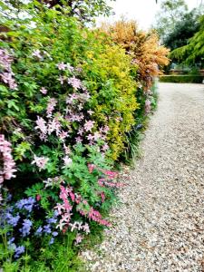 una fila de arbustos con flores en una acera en Ivy House Barn, Heckington, en Heckington