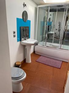 uma casa de banho com um WC, um lavatório e um chuveiro em « Le temps d’un instant » dépendance em Solre-le-Château