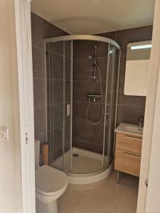 Un baño con ducha, inodoro y lavabo. en Rare pearl with an incredible view of all Briançon, en Briançon