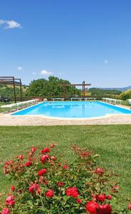 a swimming pool with red flowers in the grass at Il Poggio di Teo in Manciano
