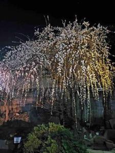 Zahrada ubytování 手ぶらBBQ 京成佐倉駅徒歩6分 生ビールあり 庭600平米 貸切宿泊4LDDK 駐車場3台無料