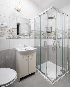 a bathroom with a shower and a toilet and a sink at Native Apartments Rakowicka 6 in Krakow
