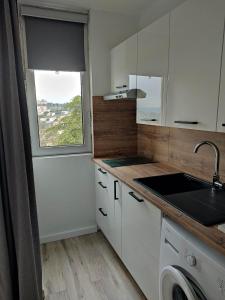 eine Küche mit einem Waschbecken und einem Fenster in der Unterkunft Résidence les chênes blancs Appartement T2 in Gréoux-les-Bains